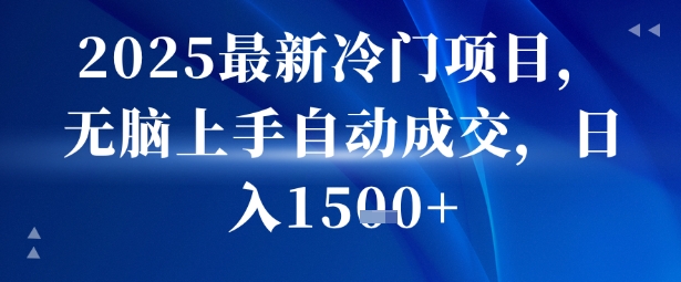 2025最新冷门项目，无脑上手自动成交，日入多张-刀客资源网