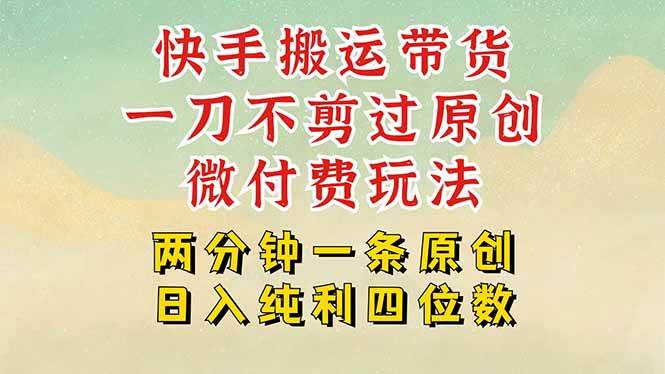 （15577期）快手黑科技搬运带货，一刀不剪过原创，微付费投流玩法，轻松日入四位数…-刀客资源网