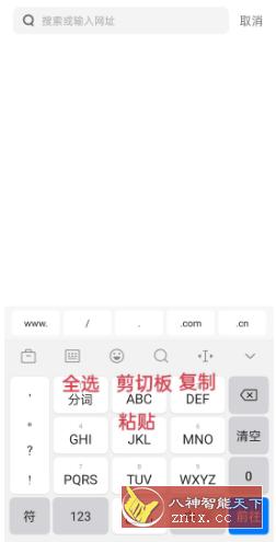 讯飞输入法8.3.8503 OPPO定制版-刀客资源网