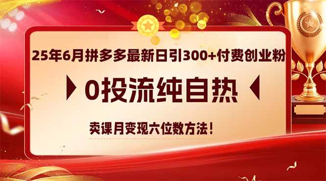 （14989期）25年6月拼多多最新日引300+付费创业粉，0投流纯自热 卖课月变现六位数方法-刀客资源网
